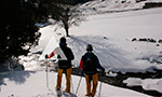 Excursions per a tota la família amb raquetes de neu